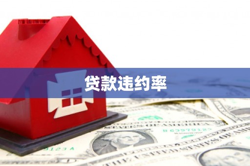 遂溪贷款违约率