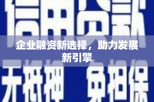遂溪企业融资新选择，助力发展新引擎