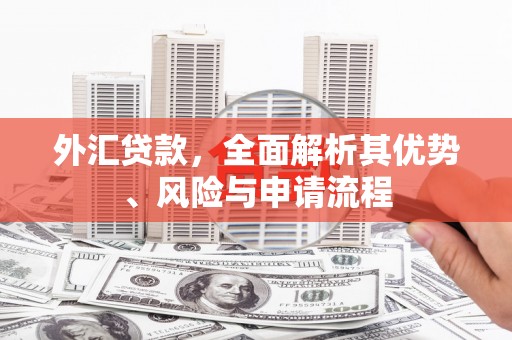 遂溪外汇贷款，全面解析其优势、风险与申请流程