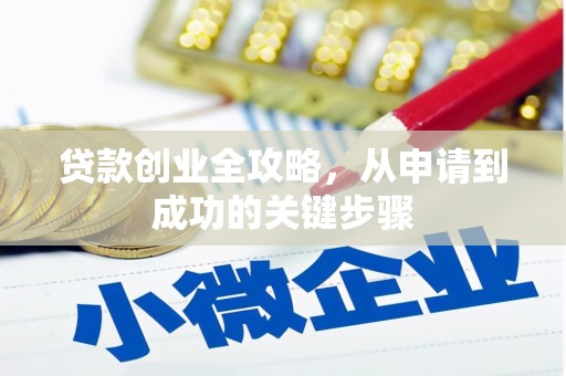 遂溪贷款创业全攻略，从申请到成功的关键步骤