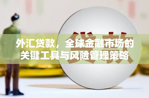 遂溪外汇贷款，全球金融市场的关键工具与风险管理策略