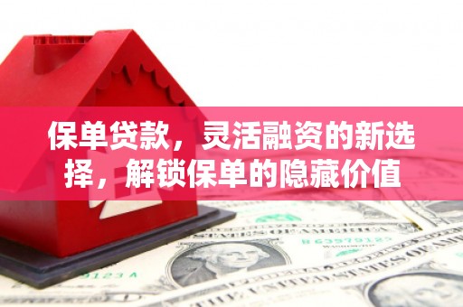 遂溪保单贷款，灵活融资的新选择，解锁保单的隐藏价值