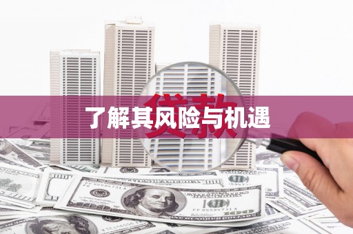 遂溪了解其风险与机遇