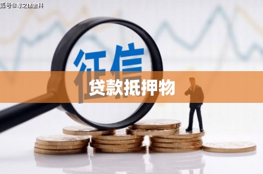 遂溪贷款抵押物