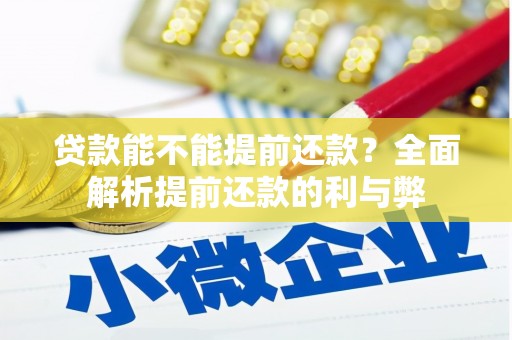 遂溪贷款能不能提前还款？全面解析提前还款的利与弊