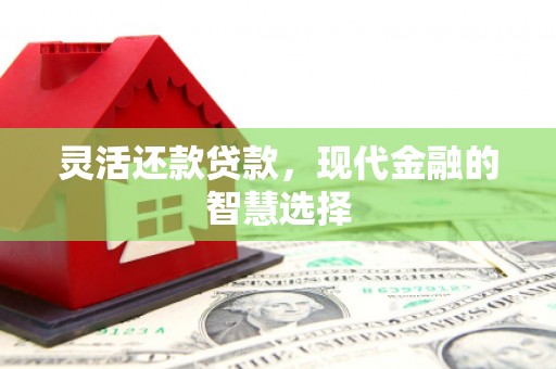 遂溪灵活还款贷款，现代金融的智慧选择