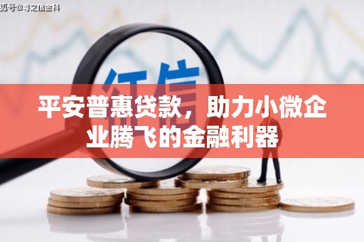 遂溪平安普惠贷款，助力小微企业腾飞的金融利器