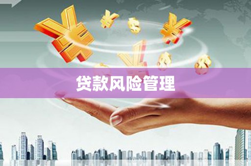 遂溪贷款风险管理