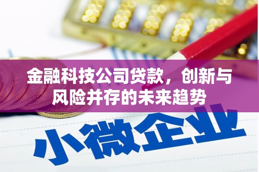 遂溪金融科技公司贷款，创新与风险并存的未来趋势
