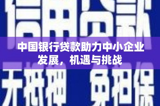 遂溪中国银行贷款助力中小企业发展，机遇与挑战