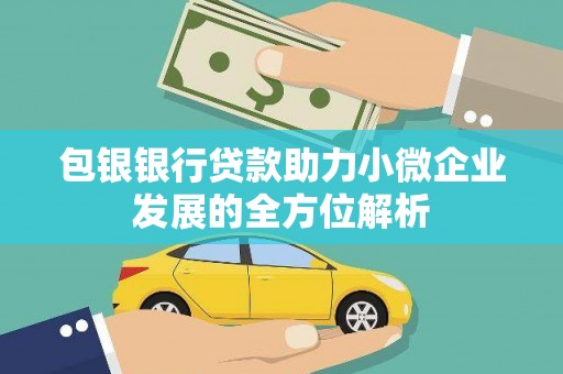 遂溪包银银行贷款助力小微企业发展的全方位解析