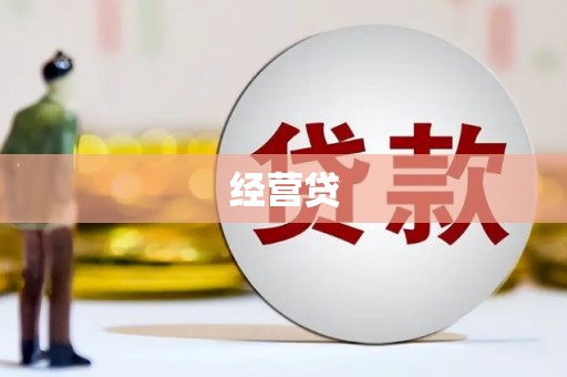 遂溪经营贷