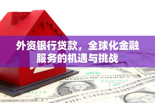 遂溪外资银行贷款，全球化金融服务的机遇与挑战