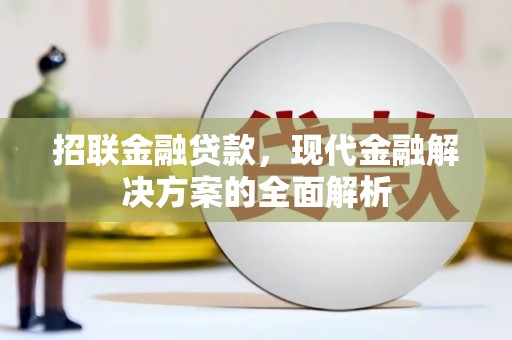 遂溪招联金融贷款，现代金融解决方案的全面解析