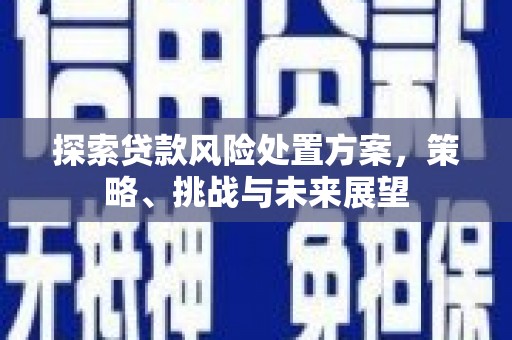 遂溪探索贷款风险处置方案，策略、挑战与未来展望