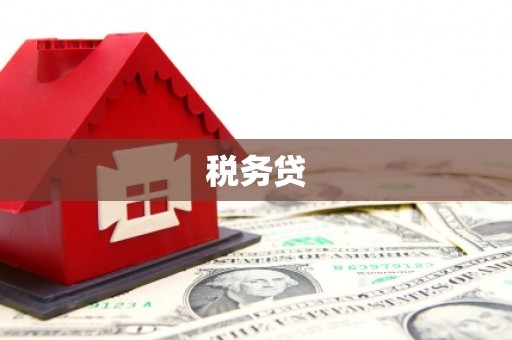 遂溪税务贷