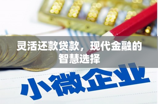 遂溪灵活还款贷款，现代金融的智慧选择