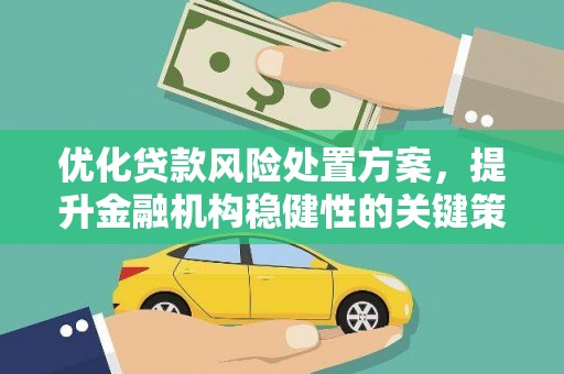 遂溪优化贷款风险处置方案，提升金融机构稳健性的关键策略