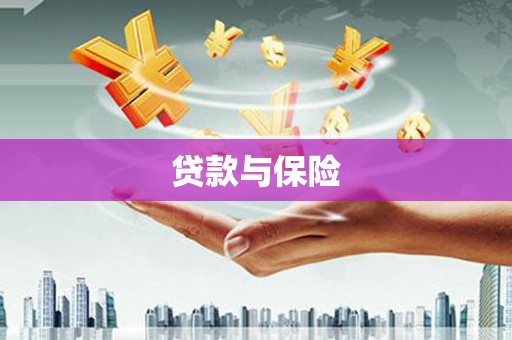 遂溪贷款与保险