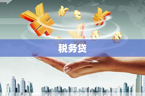遂溪税务贷