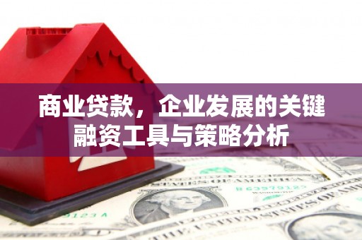 遂溪商业贷款，企业发展的关键融资工具与策略分析