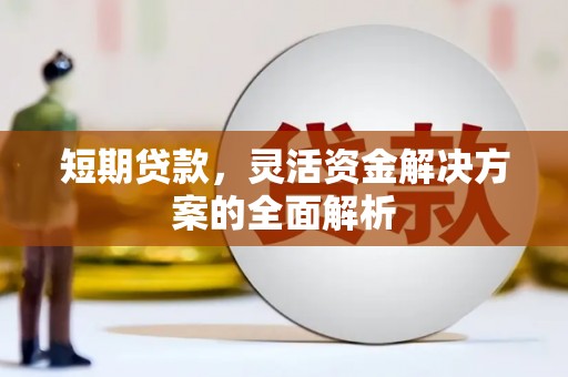 遂溪短期贷款，灵活资金解决方案的全面解析