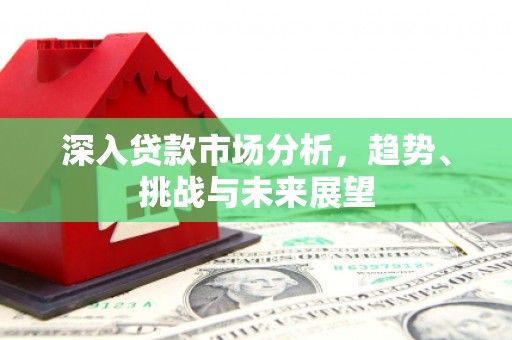 遂溪深入贷款市场分析，趋势、挑战与未来展望