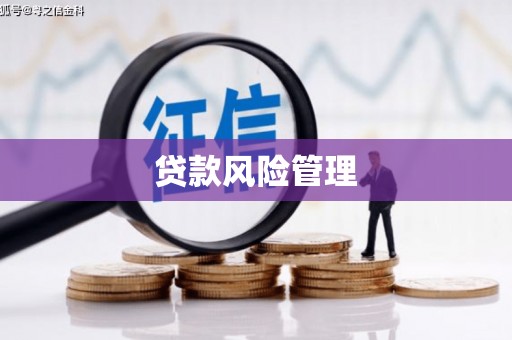 遂溪贷款风险管理
