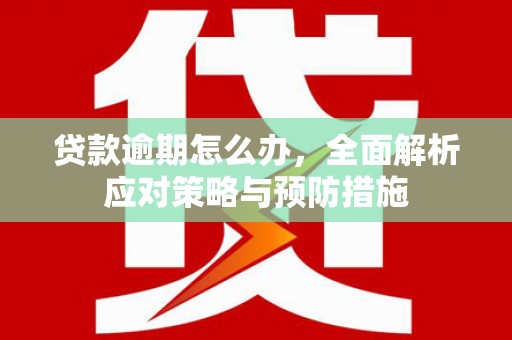 遂溪贷款逾期怎么办，全面解析应对策略与预防措施