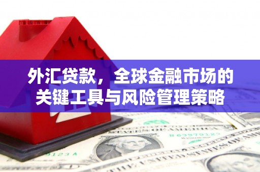 遂溪外汇贷款，全球金融市场的关键工具与风险管理策略