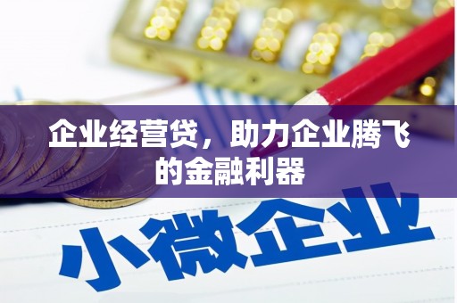 遂溪企业经营贷，助力企业腾飞的金融利器
