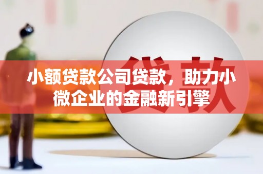 遂溪小额贷款公司贷款，助力小微企业的金融新引擎