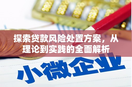 遂溪探索贷款风险处置方案，从理论到实践的全面解析