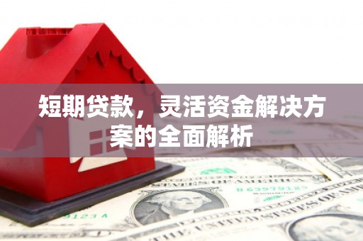 遂溪短期贷款，灵活资金解决方案的全面解析