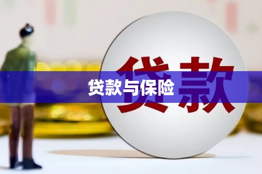 遂溪贷款与保险