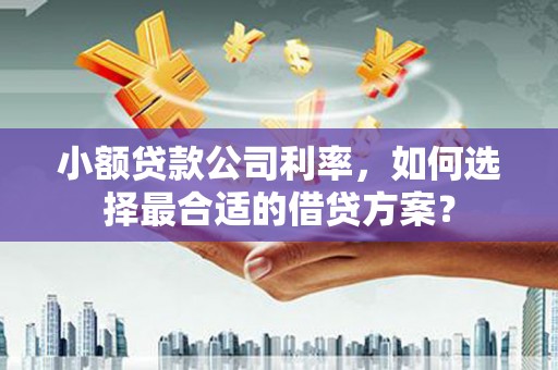 遂溪小额贷款公司利率，如何选择最合适的借贷方案？