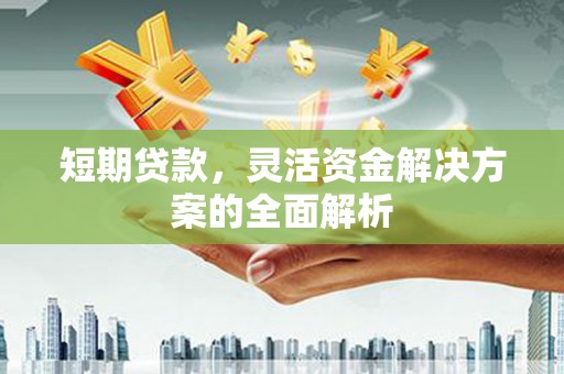 遂溪短期贷款，灵活资金解决方案的全面解析