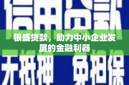 遂溪银盛贷款，助力中小企业发展的金融利器