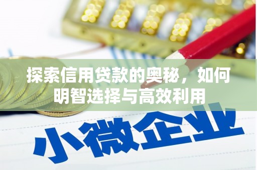 遂溪探索信用贷款的奥秘，如何明智选择与高效利用