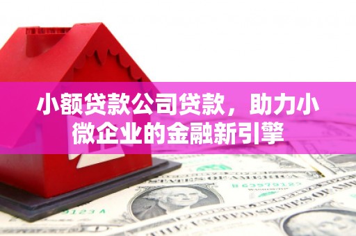 遂溪小额贷款公司贷款，助力小微企业的金融新引擎