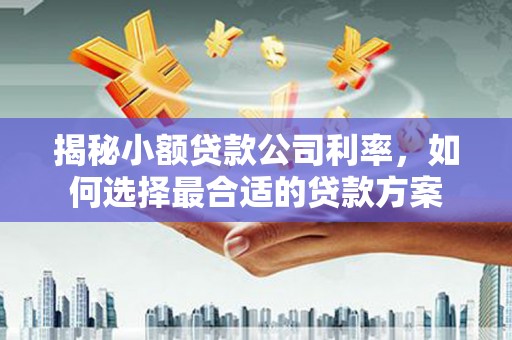 遂溪揭秘小额贷款公司利率，如何选择最合适的贷款方案