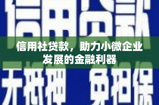 遂溪信用社贷款，助力小微企业发展的金融利器
