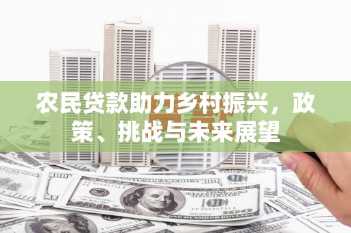 遂溪农民贷款助力乡村振兴，政策、挑战与未来展望