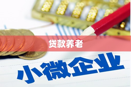 遂溪贷款养老