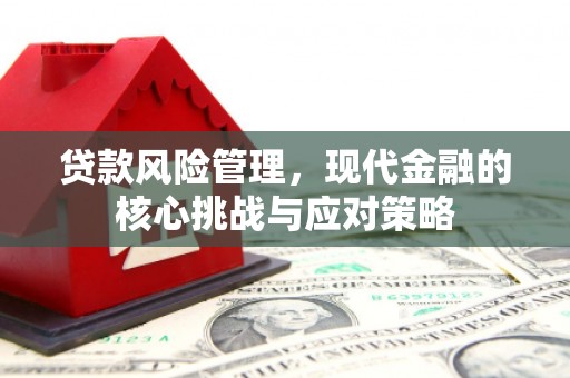 遂溪贷款风险管理，现代金融的核心挑战与应对策略