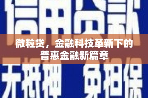 遂溪微粒贷，金融科技革新下的普惠金融新篇章