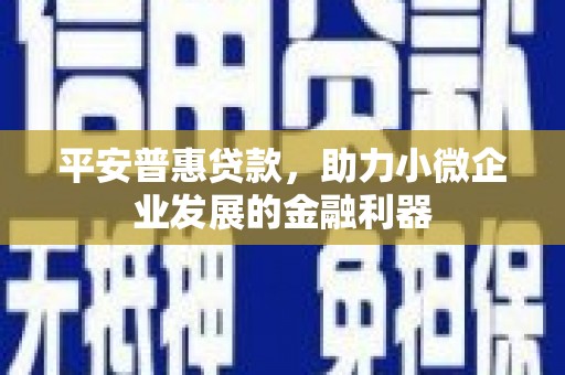 遂溪平安普惠贷款，助力小微企业发展的金融利器