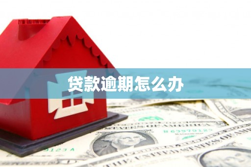 遂溪贷款逾期怎么办