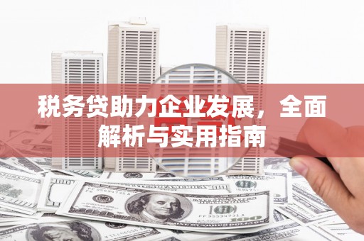 遂溪税务贷助力企业发展，全面解析与实用指南