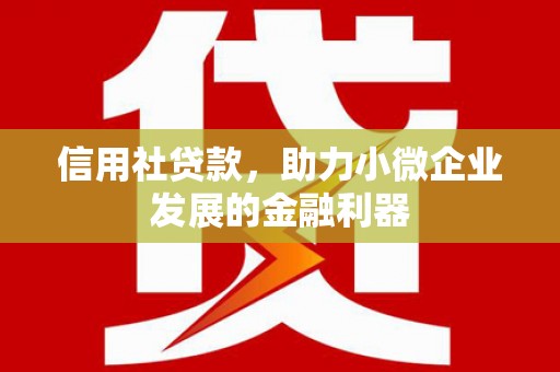 遂溪信用社贷款，助力小微企业发展的金融利器